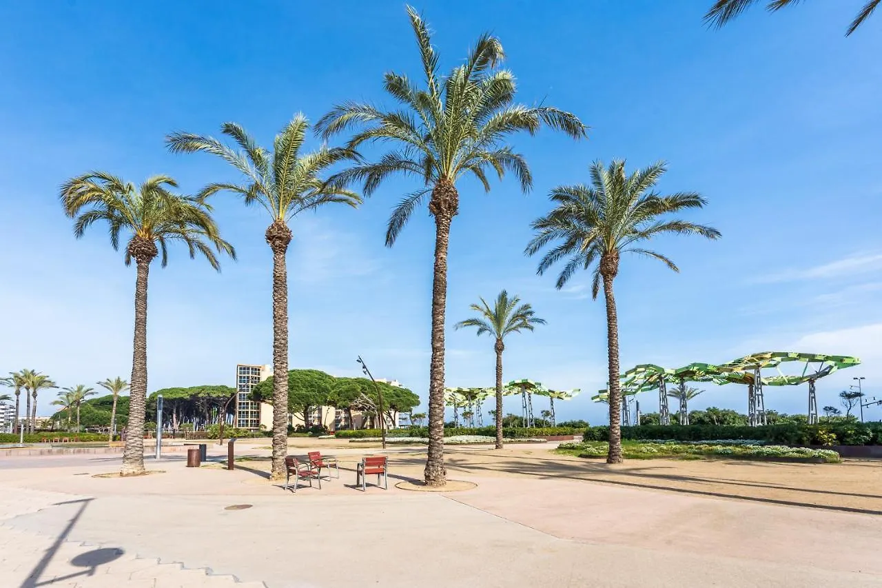 Alea Rentals - Maldivas La Pineda